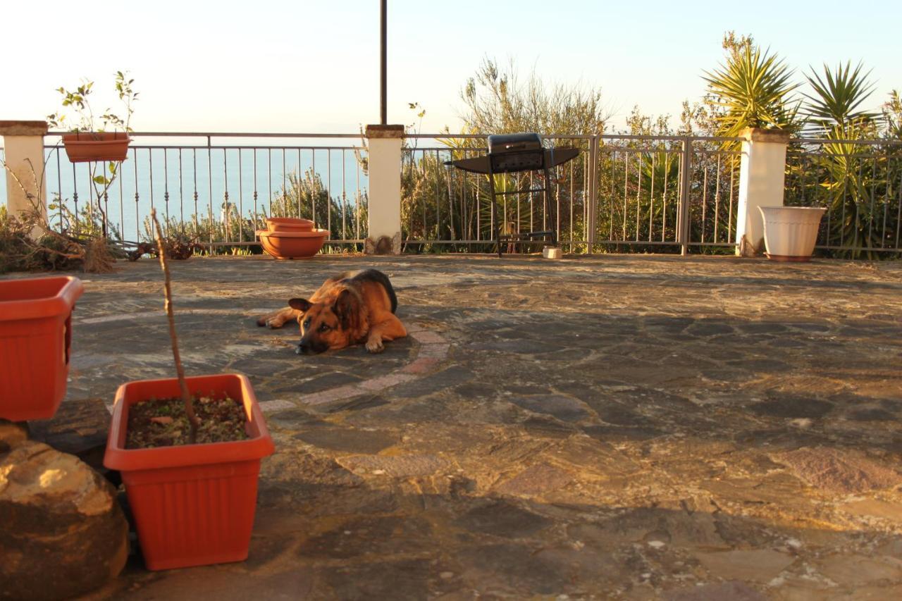 Villa Malandrino Guest House Agropoli Exterior photo